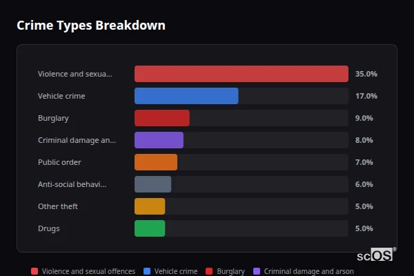 Crime Types Breakdown for Buckhurst Hill - showing Violence and sexual offences (35%), Vehicle crime (17%), Burglary (9%)