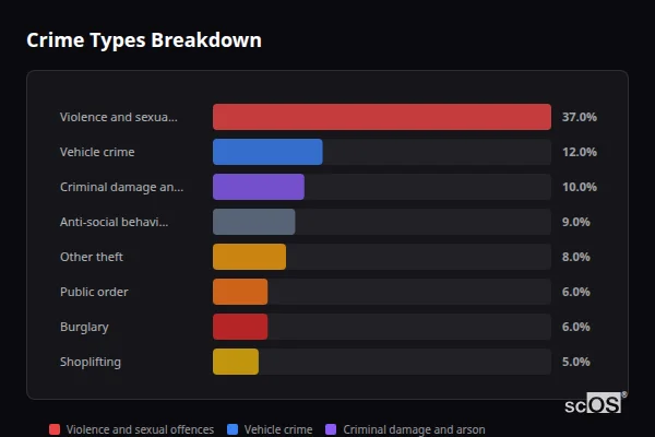 Crime Types Breakdown for Rural Epping Forest - showing Violence and sexual offences (37%), Vehicle crime (12%), Criminal damage and arson (10%)