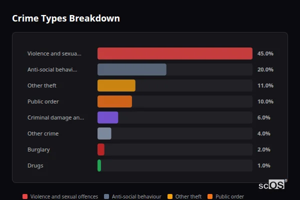Crime Types Breakdown for Caerwys - showing Violence and sexual offences (45%), Anti-social behaviour (20%), Other theft (11%)