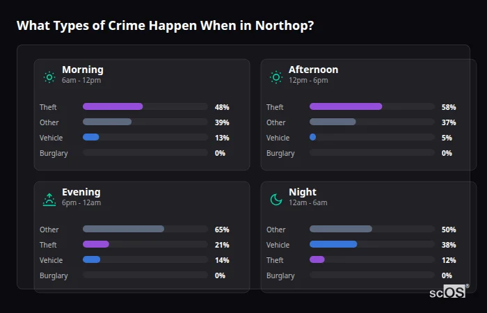 Crime types by time period for Northop - showing breakdown of burglary, violence, theft, and vehicle crime by morning, afternoon, evening, and night