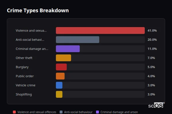 Crime Types Breakdown for Rural Flintshire - showing Violence and sexual offences (41%), Anti-social behaviour (20%), Criminal damage and arson (11%)