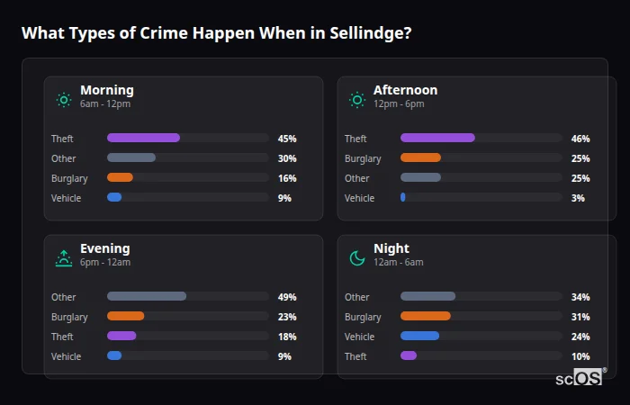 Crime types by time period for Sellindge - showing breakdown of burglary, violence, theft, and vehicle crime by morning, afternoon, evening, and night