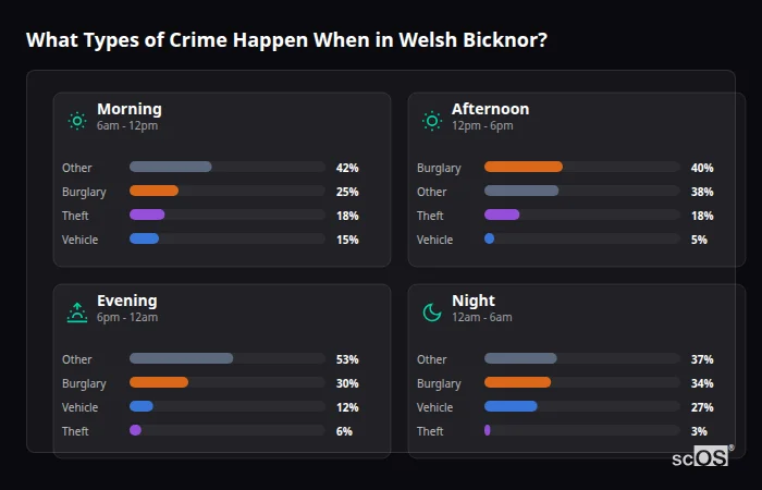 What Types of Crime Happen When in Welsh Bicknor? Crime types by time period for Welsh Bicknor - showing breakdown of burglary, violence, theft, and vehicle crime by morning, afternoon, evening, and night