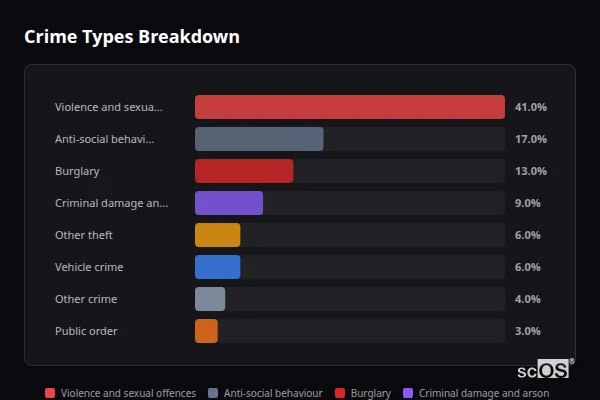 Crime Types Breakdown for Woolaston - showing Violence and sexual offences (41%), Anti-social behaviour (17%), Burglary (13%)