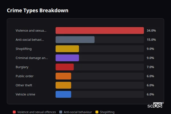 Crime Types Breakdown - Birtley Crime Types Breakdown for Birtley - showing Violence and sexual offences (34%), Anti-social behaviour (15%), Shoplifting (9%)