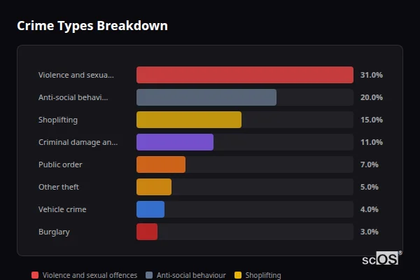 Crime Types Breakdown - Blaydon Crime Types Breakdown for Blaydon - showing Violence and sexual offences (31%), Anti-social behaviour (20%), Shoplifting (15%)