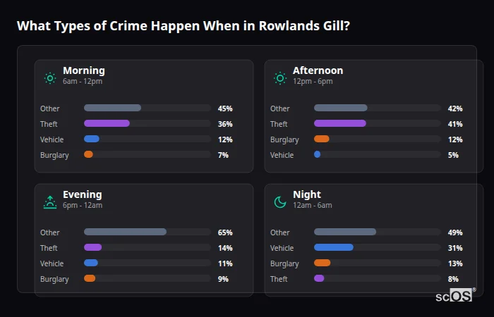 Crime types by time period for Rowlands Gill - showing breakdown of burglary, violence, theft, and vehicle crime by morning, afternoon, evening, and night