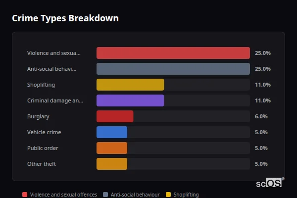 Crime Types Breakdown - Ryton Crime Types Breakdown for Ryton - showing Violence and sexual offences (25%), Anti-social behaviour (25%), Shoplifting (11%)