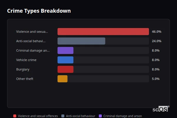 Crime Types Breakdown for Vigo Village - showing Violence and sexual offences (46%), Anti-social behaviour (24%), Criminal damage and arson (8%)