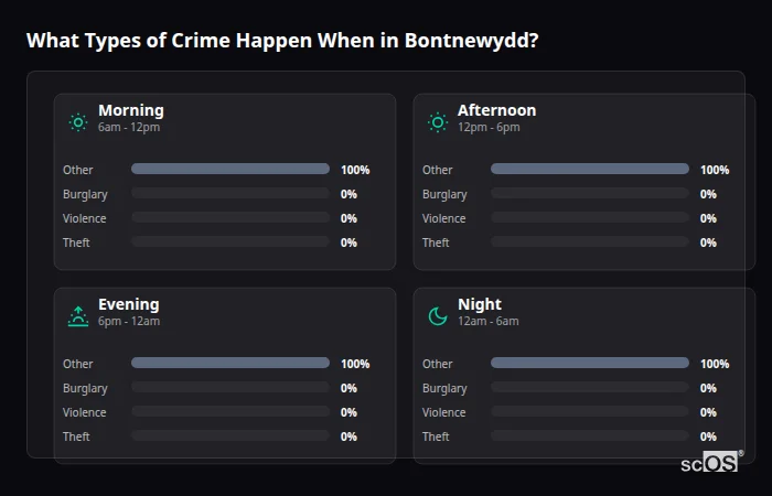 Crime types by time period for Bontnewydd - showing breakdown of burglary, violence, theft, and vehicle crime by morning, afternoon, evening, and night