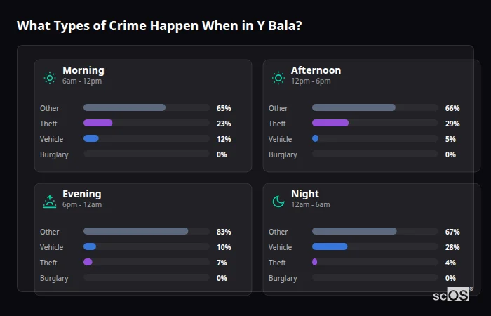 Crime types by time period for Y Bala - showing breakdown of burglary, violence, theft, and vehicle crime by morning, afternoon, evening, and night