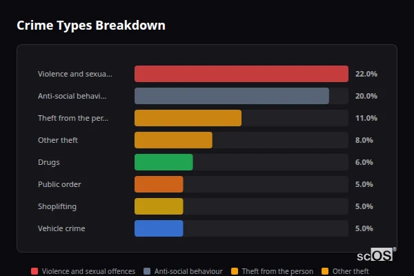Crime Types Breakdown for Hackney - showing Violence and sexual offences (22%), Anti-social behaviour (20%), Theft from the person (11%)