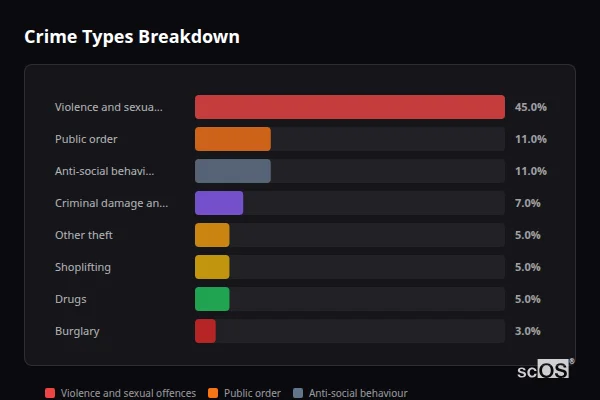 Crime Types Breakdown for Widnes - showing Violence and sexual offences (45%), Public order (11%), Anti-social behaviour (11%)