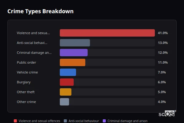 Crime Types Breakdown for Birch Vale - showing Violence and sexual offences (41%), Anti-social behaviour (13%), Criminal damage and arson (12%)