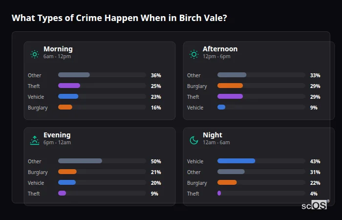Crime types by time period for Birch Vale - showing breakdown of burglary, violence, theft, and vehicle crime by morning, afternoon, evening, and night