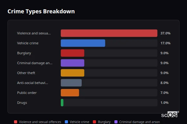 Crime Types Breakdown for Rural Hinckley and Bosworth - showing Violence and sexual offences (37%), Vehicle crime (17%), Burglary (9%)