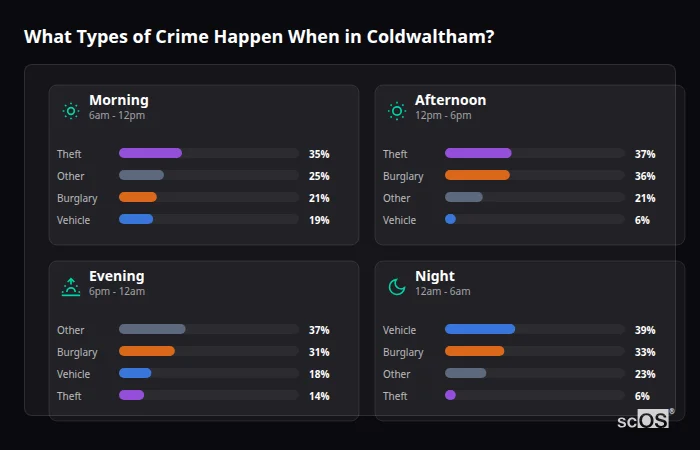 Crime types by time period for Coldwaltham - showing breakdown of burglary, violence, theft, and vehicle crime by morning, afternoon, evening, and night