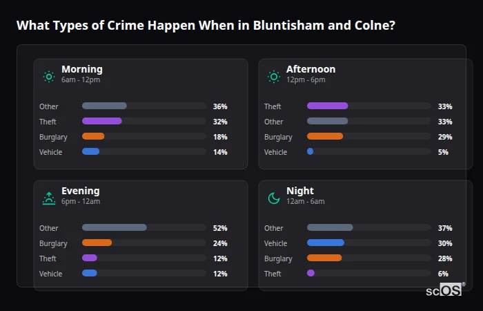 Crime types by time period for Bluntisham and Colne - showing breakdown of burglary, violence, theft, and vehicle crime by morning, afternoon, evening, and night