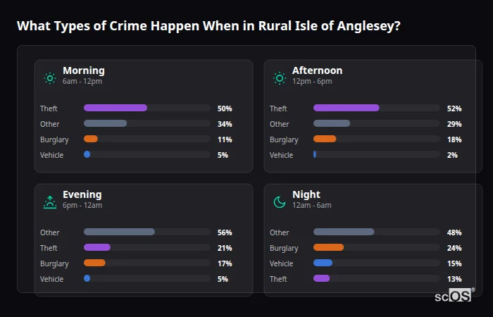 Crime types by time period for Rural Isle of Anglesey - showing breakdown of burglary, violence, theft, and vehicle crime by morning, afternoon, evening, and night