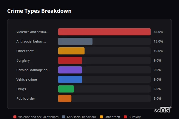 Crime Types Breakdown for Holmbridge - showing Violence and sexual offences (35%), Anti-social behaviour (13%), Other theft (10%)