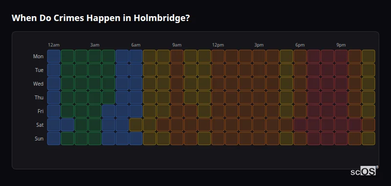 Crime time heatmap for Holmbridge - showing when crimes are most likely to occur by day and hour