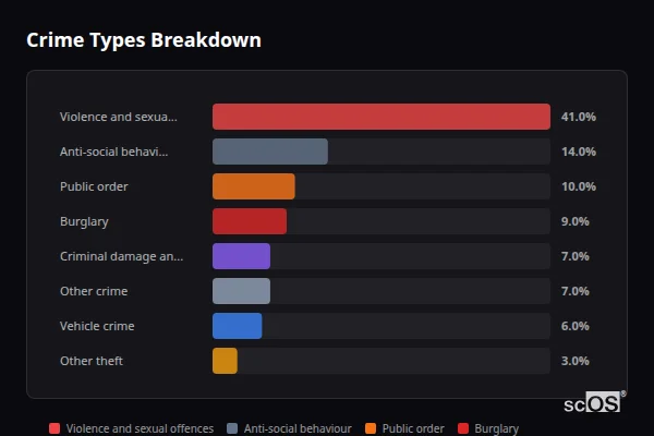 Crime Types Breakdown for Skelmanthorpe - showing Violence and sexual offences (41%), Anti-social behaviour (14%), Public order (10%)