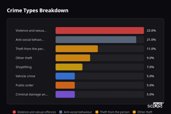 Crime Types Breakdown for Lambeth - showing Violence and sexual offences (23%), Anti-social behaviour (21%), Theft from the person (11%)