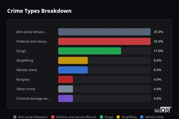 Crime Types Breakdown for Heybridge Basin - showing Anti-social behaviour (25%), Violence and sexual offences (25%), Drugs (17%)