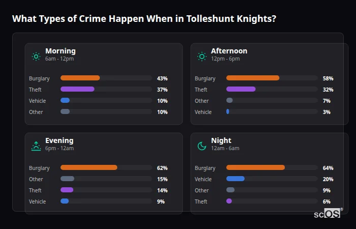 Crime types by time period for Tolleshunt Knights - showing breakdown of burglary, violence, theft, and vehicle crime by morning, afternoon, evening, and night