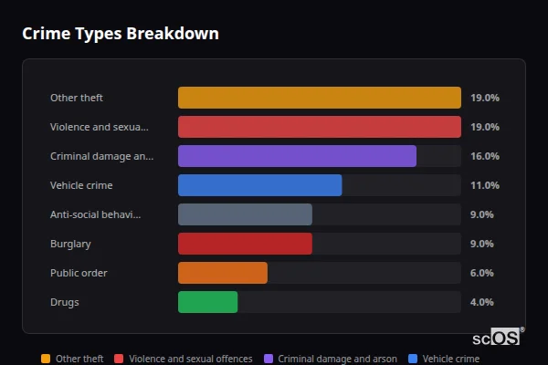 Crime Types Breakdown for Ryall - showing Other theft (19%), Violence and sexual offences (19%), Criminal damage and arson (16%)