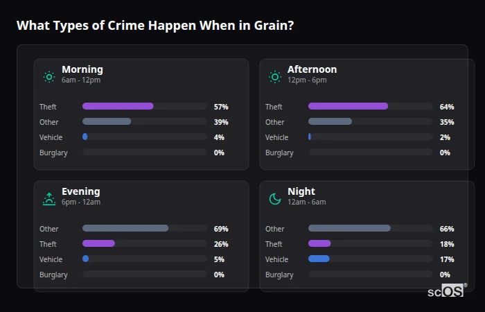 What Types of Crime Happen When in Grain? Crime types by time period for Grain - showing breakdown of burglary, violence, theft, and vehicle crime by morning, afternoon, evening, and night