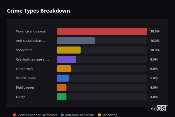 Crime Types Breakdown - Rochester Crime Types Breakdown for Rochester - showing Violence and sexual offences (38%), Anti-social behaviour (16%), Shoplifting (10%)