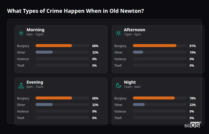 Crime types by time period for Old Newton - showing breakdown of burglary, violence, theft, and vehicle crime by morning, afternoon, evening, and night