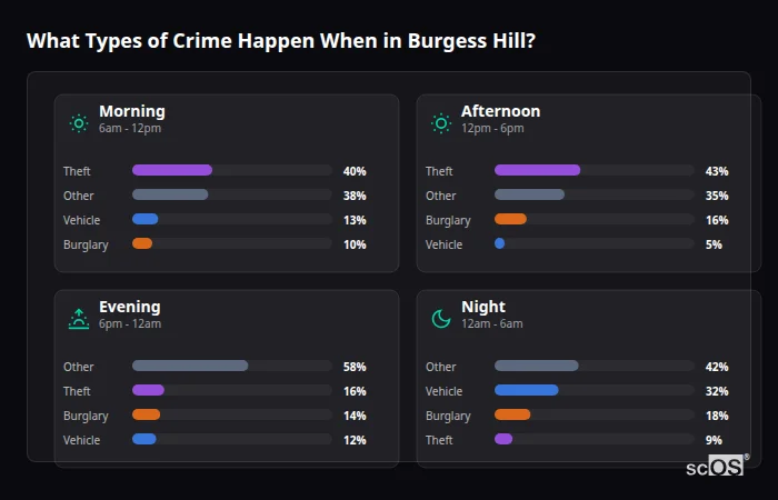 What Types of Crime Happen When in Burgess Hill? Crime types by time period for Burgess Hill - showing breakdown of burglary, violence, theft, and vehicle crime by morning, afternoon, evening, and night