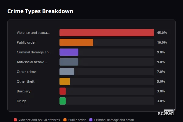 Crime Types Breakdown for Abergwynfi - showing Violence and sexual offences (45%), Public order (16%), Criminal damage and arson (9%)