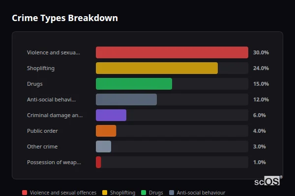 Crime Types Breakdown for Alltwen - showing Violence and sexual offences (30%), Shoplifting (24%), Drugs (15%)