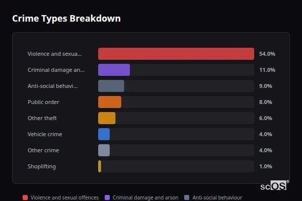 Crime Types Breakdown for Tonna - showing Violence and sexual offences (54%), Criminal damage and arson (11%), Anti-social behaviour (9%)