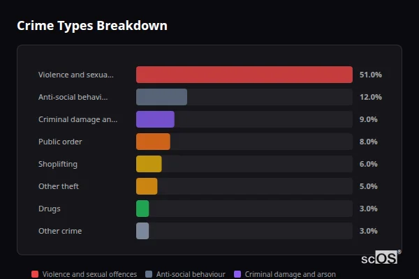 Crime Types Breakdown for Ystalyfera - showing Violence and sexual offences (51%), Anti-social behaviour (12%), Criminal damage and arson (9%)