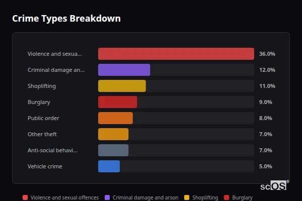 Crime Types Breakdown for Bransgore - showing Violence and sexual offences (36%), Criminal damage and arson (12%), Shoplifting (11%)