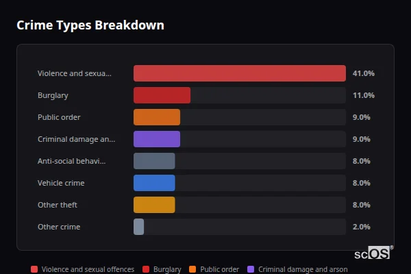 Crime Types Breakdown - Rural New Forest Crime Types Breakdown for Rural New Forest - showing Violence and sexual offences (41%), Burglary (11%), Public order (9%)