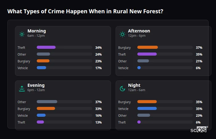 What Types of Crime Happen When in Rural New Forest? Crime types by time period for Rural New Forest - showing breakdown of burglary, violence, theft, and vehicle crime by morning, afternoon, evening, and night