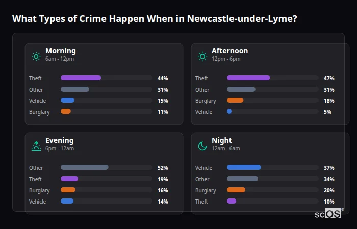 Crime types by time period for Newcastle-under-Lyme - showing breakdown of burglary, violence, theft, and vehicle crime by morning, afternoon, evening, and night