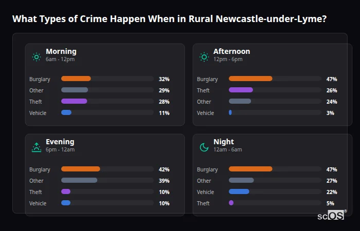 Crime types by time period for Rural Newcastle-under-Lyme - showing breakdown of burglary, violence, theft, and vehicle crime by morning, afternoon, evening, and night