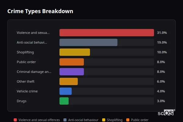 Crime Types Breakdown for Newcastle upon Tyne - showing Violence and sexual offences (31%), Anti-social behaviour (19%), Shoplifting (10%)