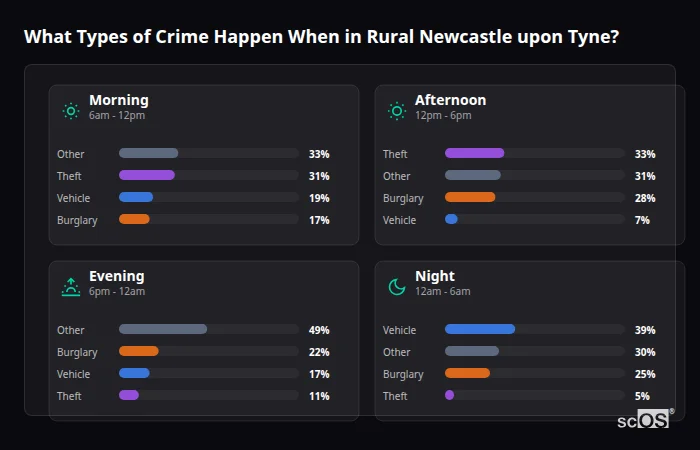 Crime types by time period for Rural Newcastle upon Tyne - showing breakdown of burglary, violence, theft, and vehicle crime by morning, afternoon, evening, and night