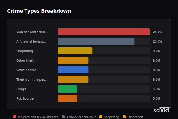 Crime Types Breakdown for Newham - showing Violence and sexual offences (24%), Anti-social behaviour (20%), Shoplifting (9%)