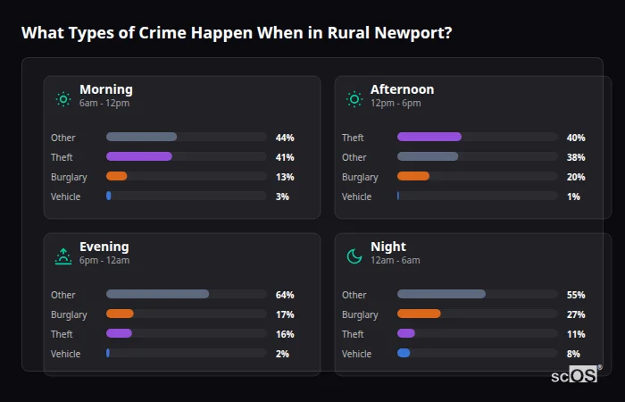 What Types of Crime Happen When in Rural Newport? Crime types by time period for Rural Newport - showing breakdown of burglary, violence, theft, and vehicle crime by morning, afternoon, evening, and night