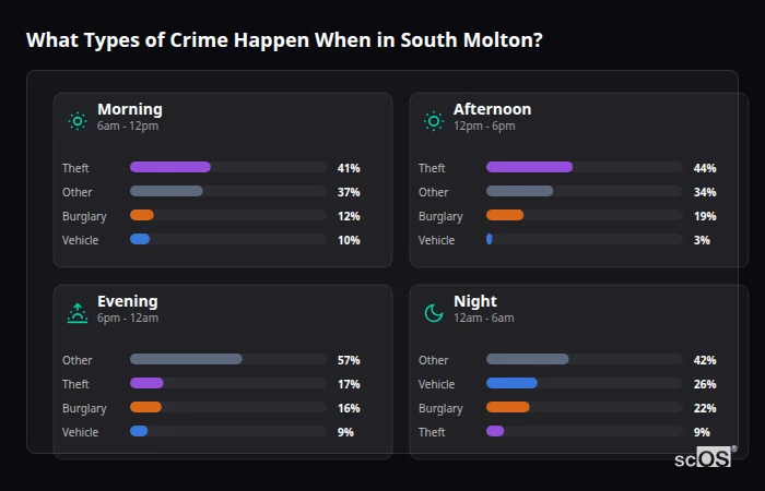 Crime types by time period for South Molton - showing breakdown of burglary, violence, theft, and vehicle crime by morning, afternoon, evening, and night