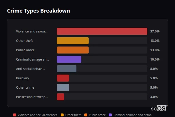 Crime Types Breakdown for Witheridge - showing Violence and sexual offences (37%), Other theft (13%), Public order (13%)
