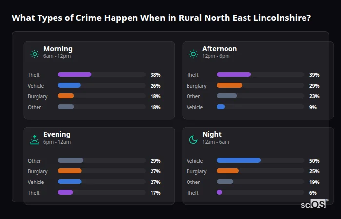 Crime types by time period for Rural North East Lincolnshire - showing breakdown of burglary, violence, theft, and vehicle crime by morning, afternoon, evening, and night